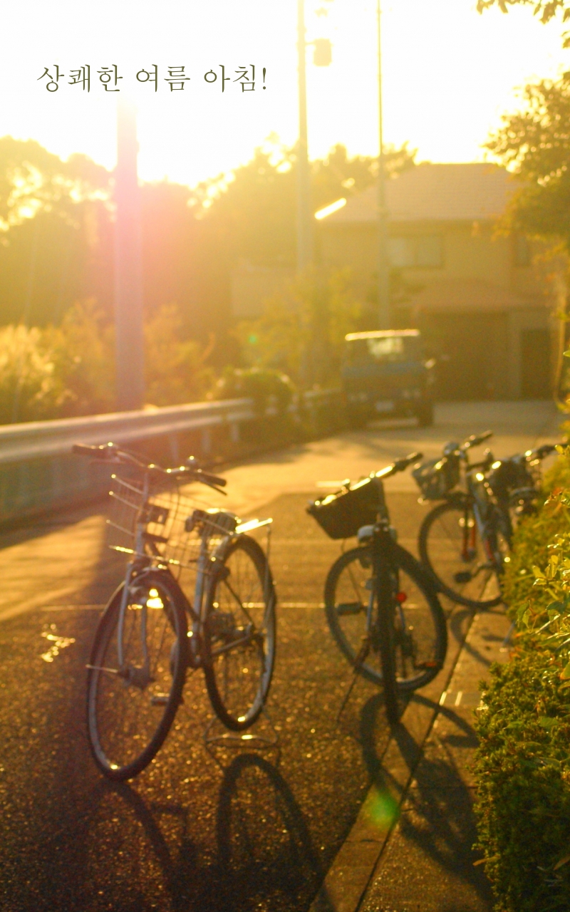 상쾌한 여름 아침!