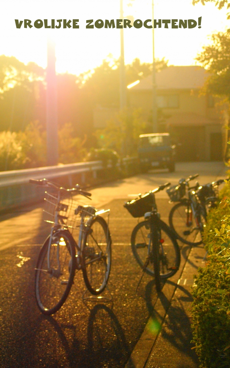 Vrolijke zomerochtend!