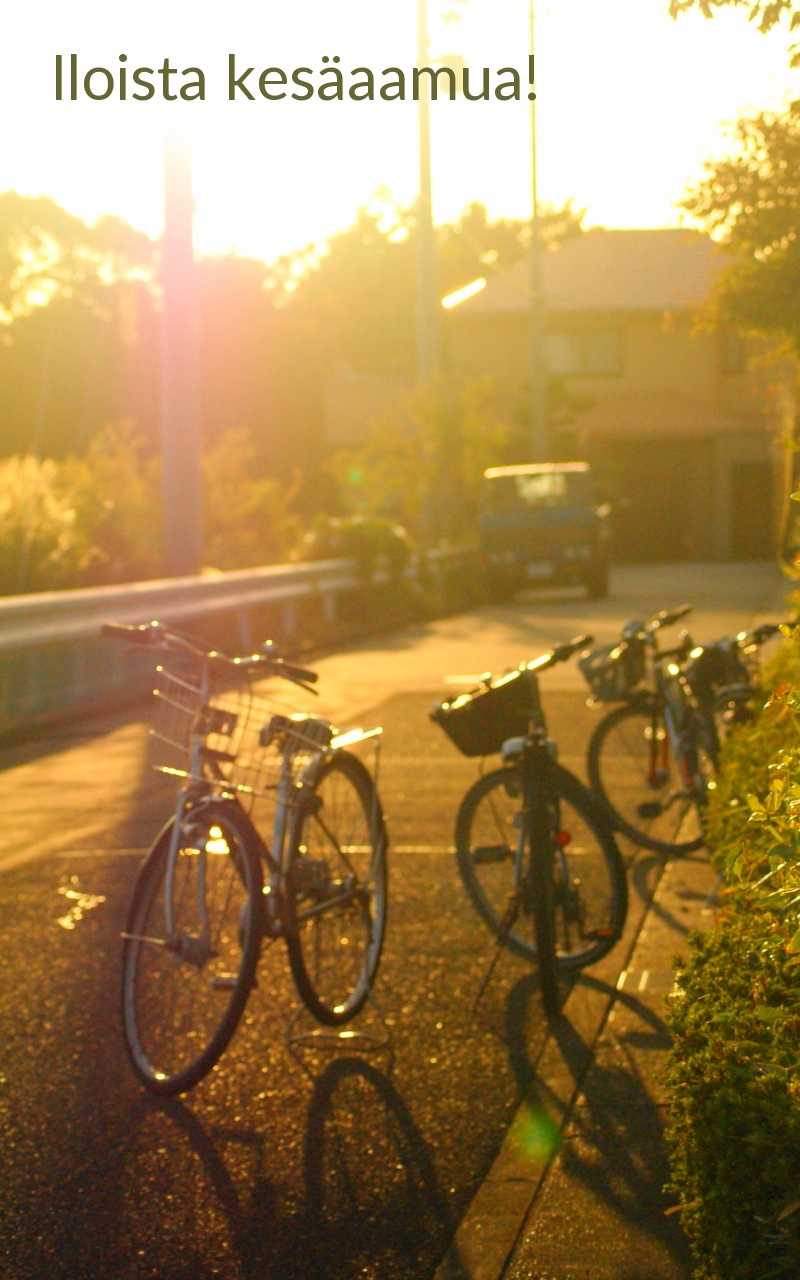 Iloista kesäaamua!