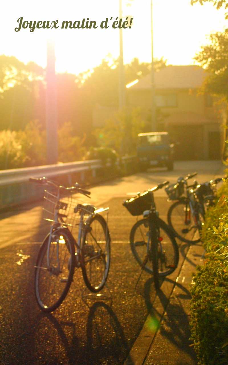 Joyeux matin d