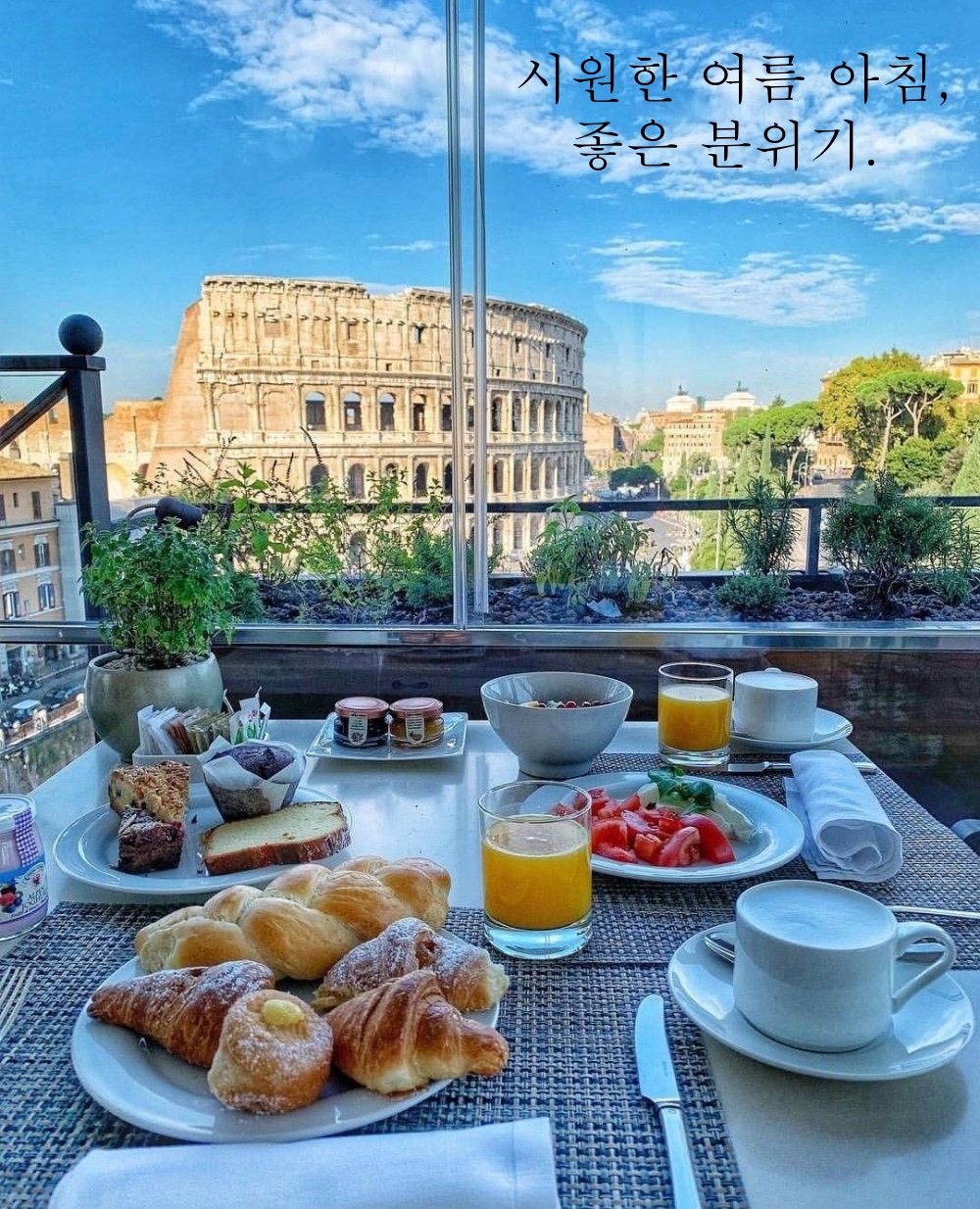 시원한 여름 아침, 좋은 분위기.