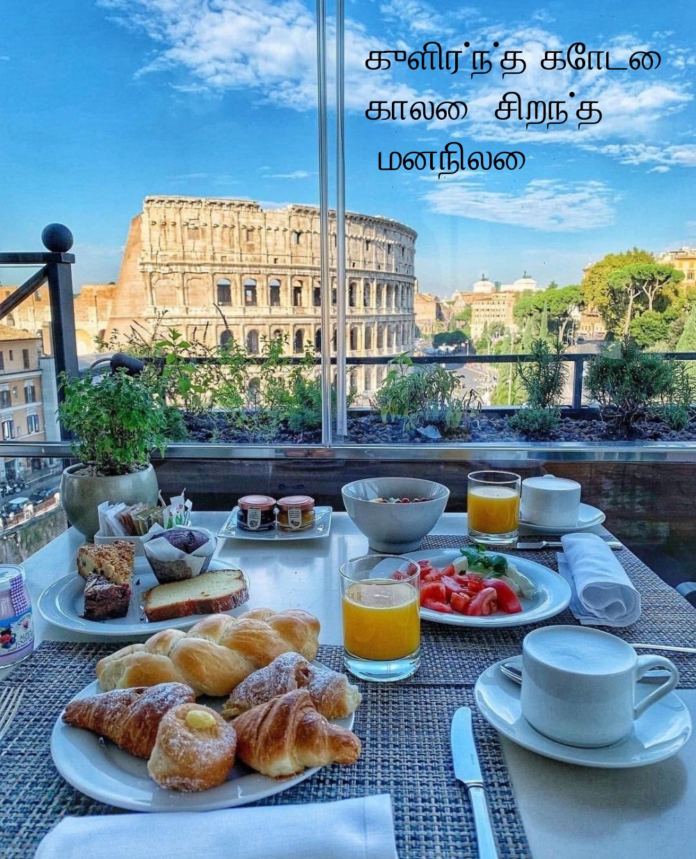 குளிர்ந்த கோடை காலை, சிறந்த மனநிலை.