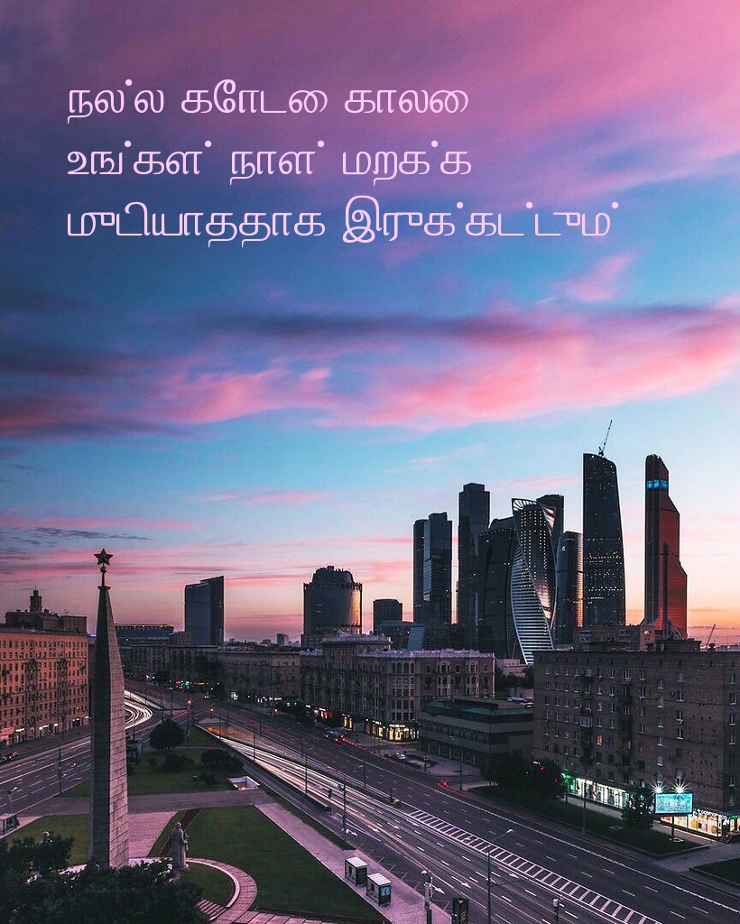 நல்ல கோடை காலை. உங்கள் நாள் மறக்க