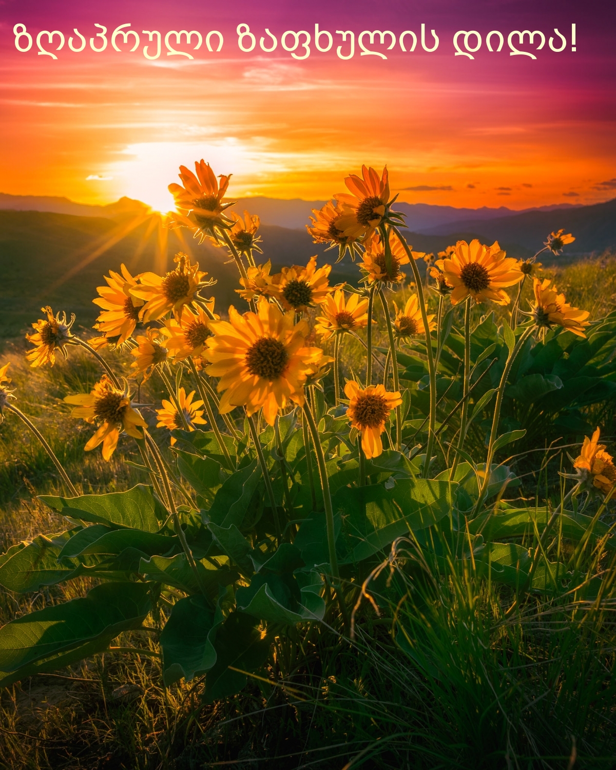 ზღაპრული ზაფხულის დილა!