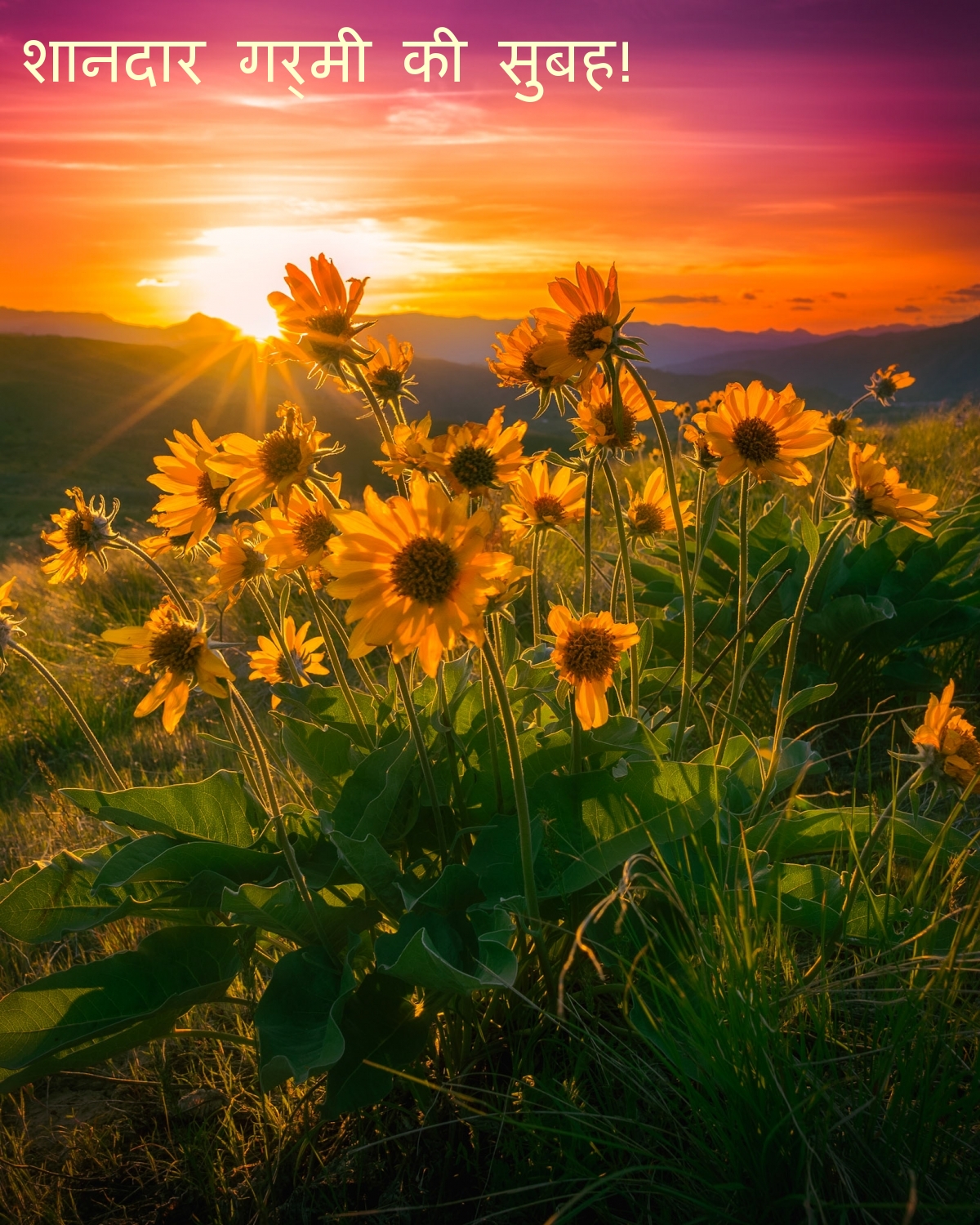शानदार गर्मी की सुबह!