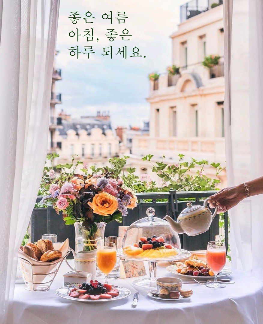 좋은 여름 아침, 좋은 하루 되세요.