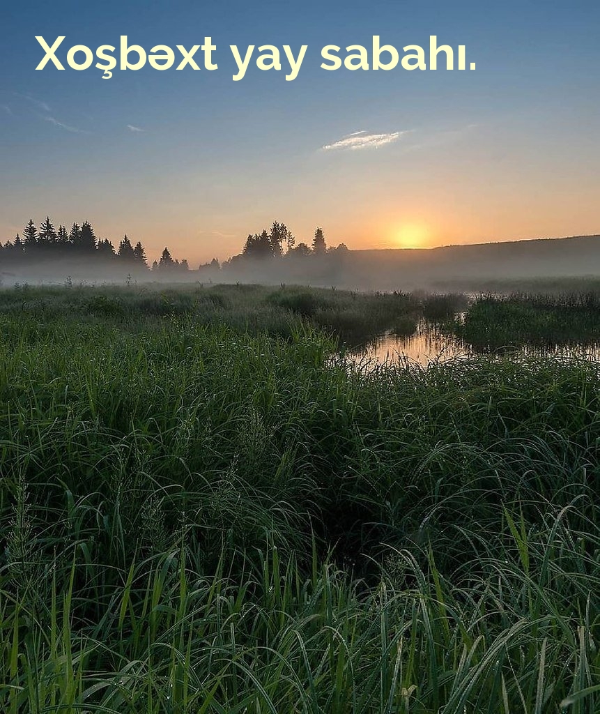 Xoşbəxt yay sabahı.