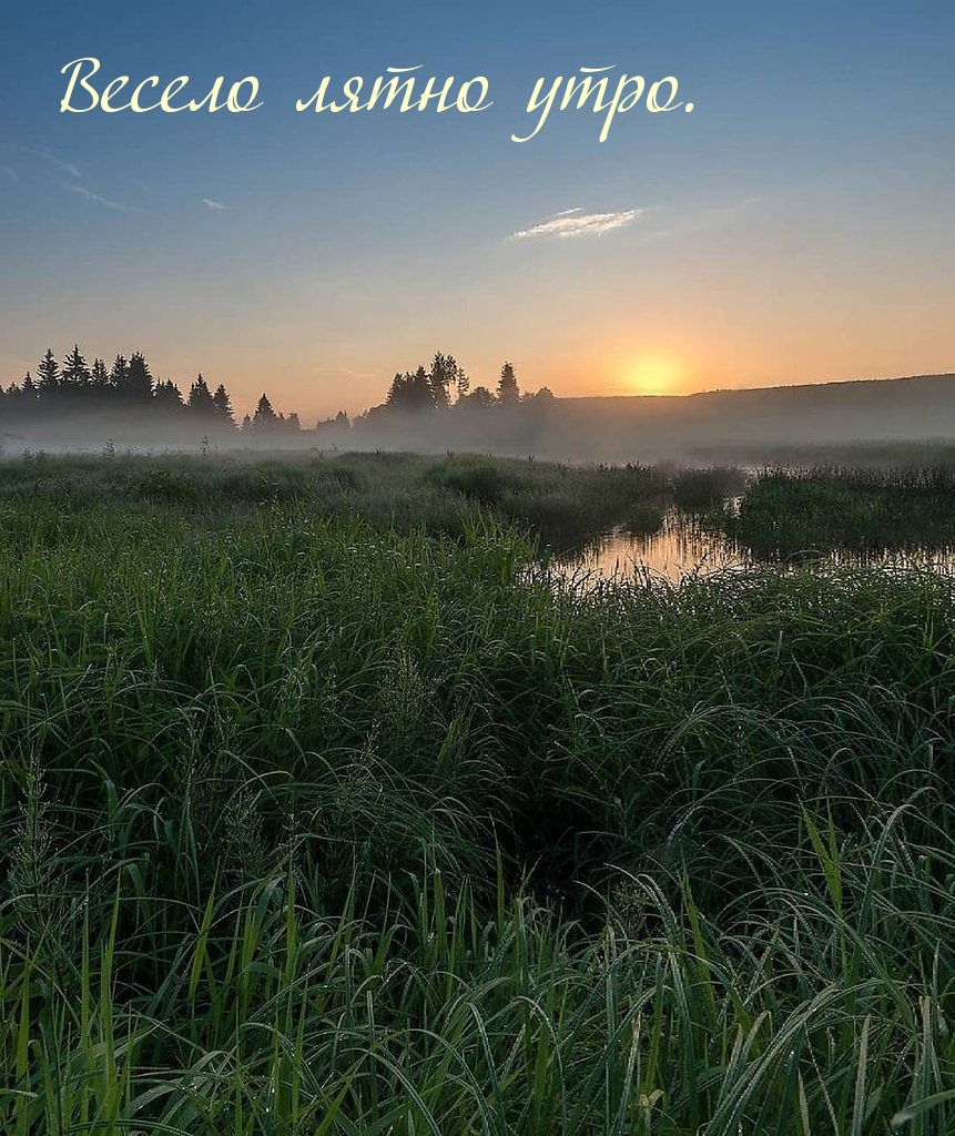 Весело лятно утро.
