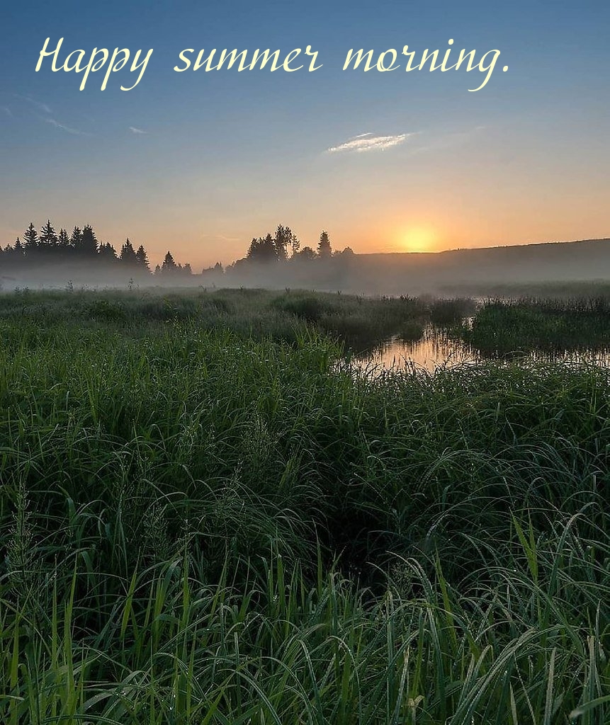Happy summer morning.