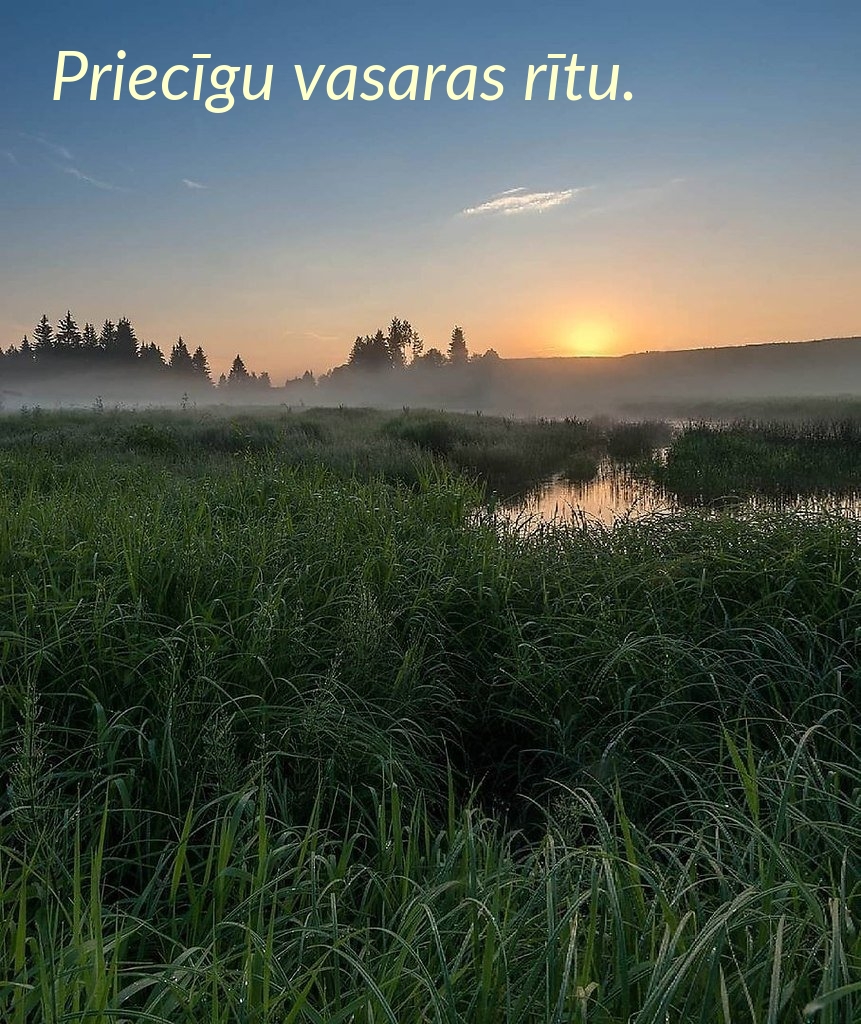 Priecīgu vasaras rītu.