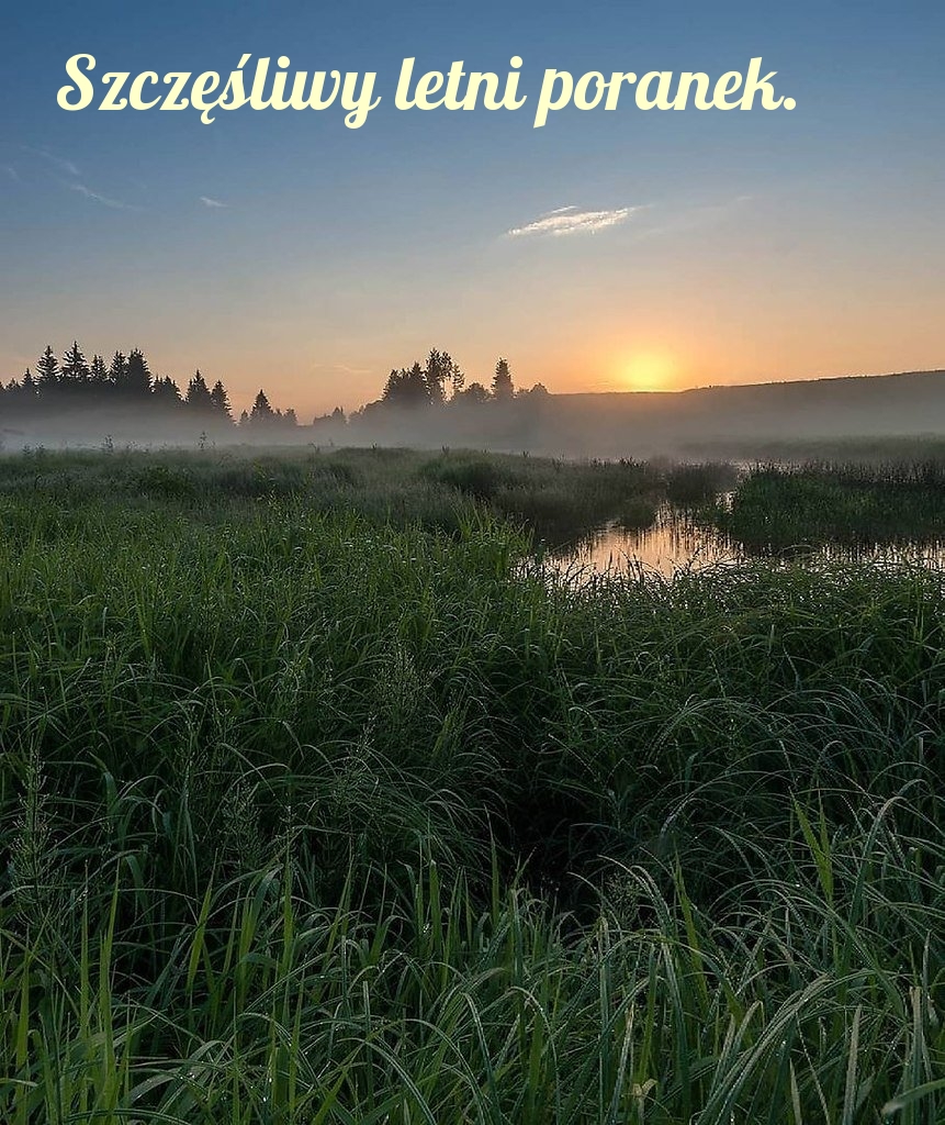 Szczęśliwy letni poranek.