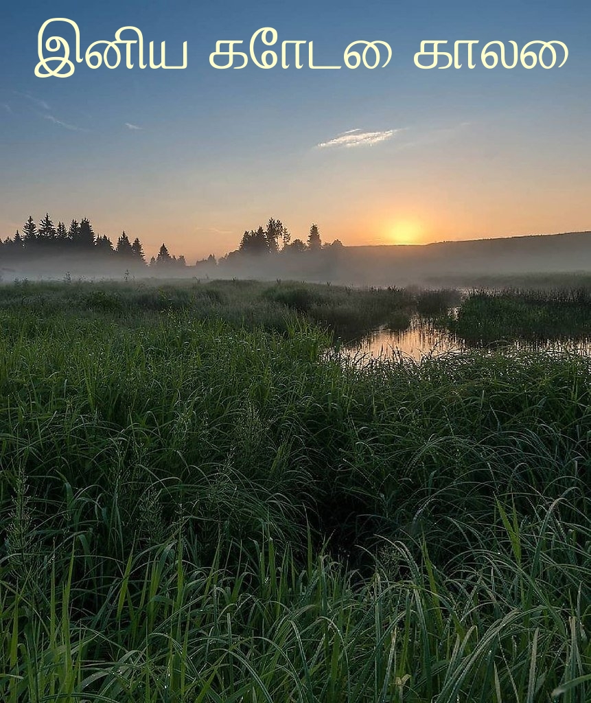 இனிய கோடை காலை.