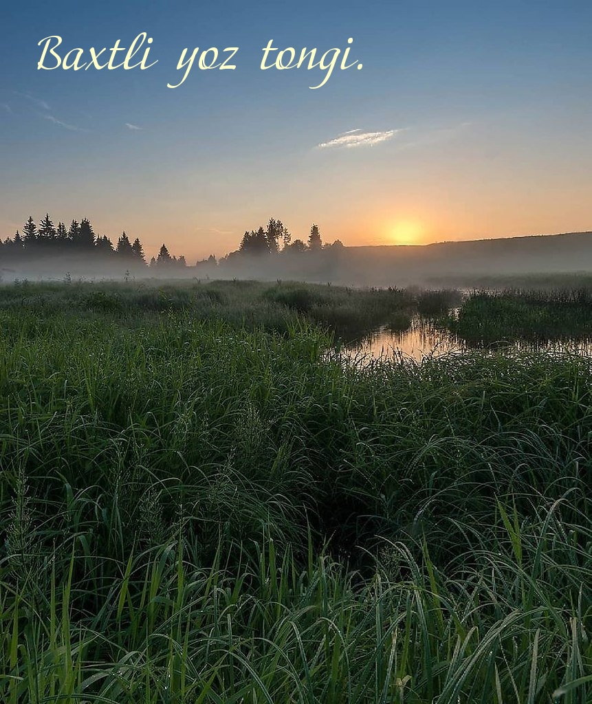 Baxtli yoz tongi.