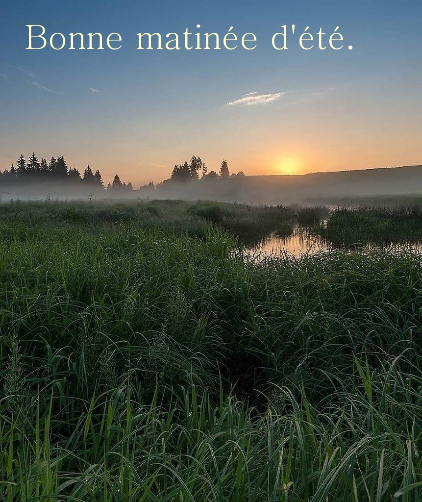 Bonne matinée d