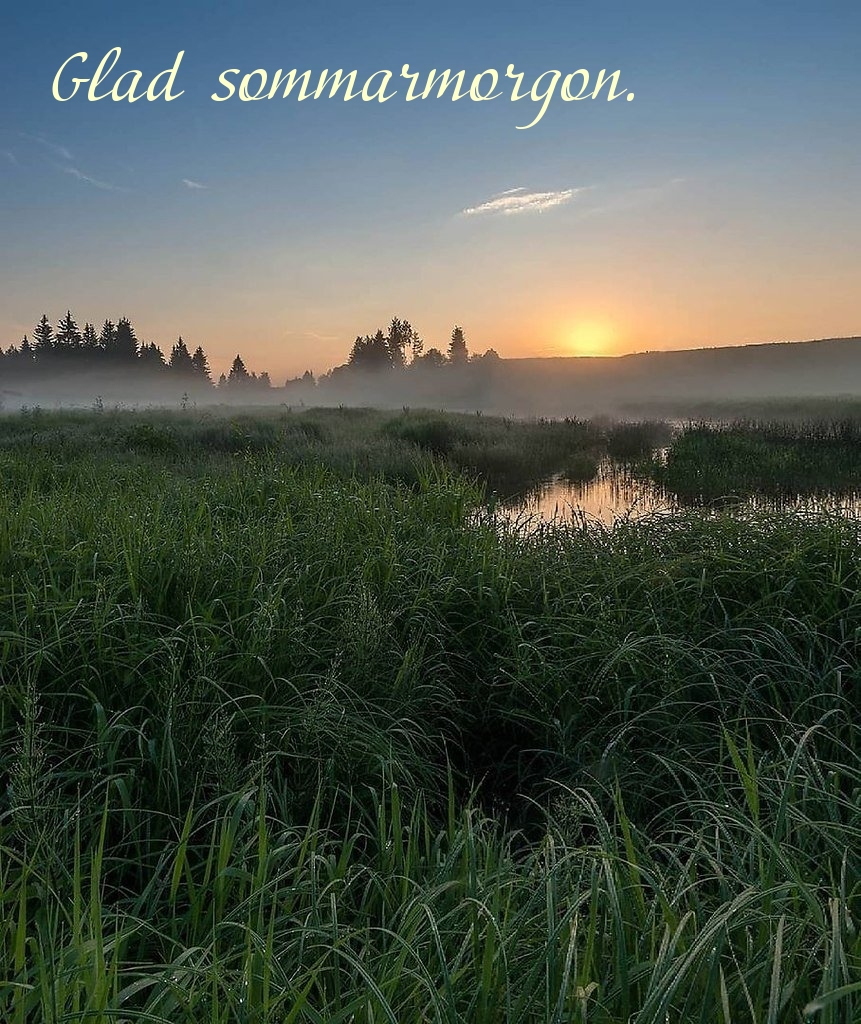Glad sommarmorgon.
