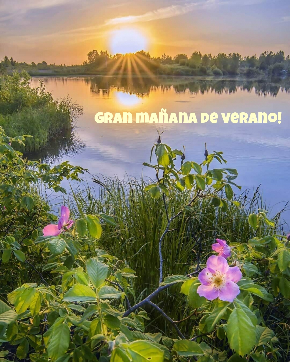 Gran mañana de verano!