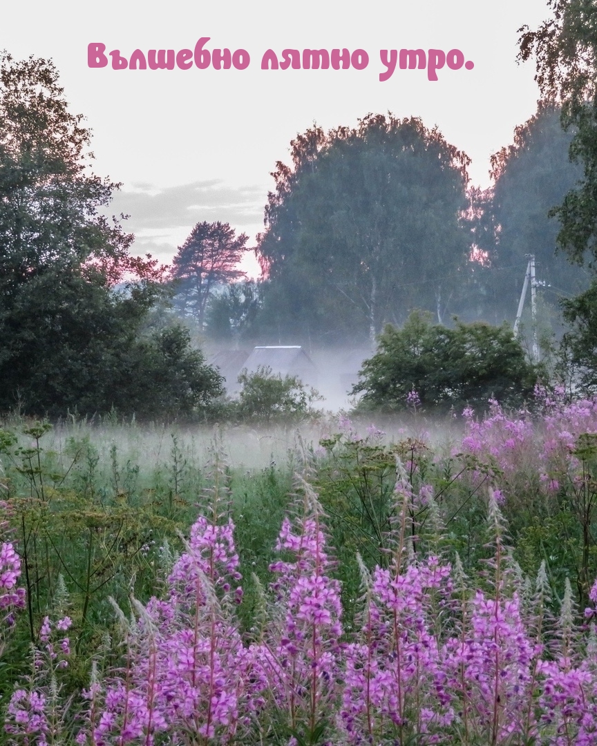Вълшебно лятно утро.