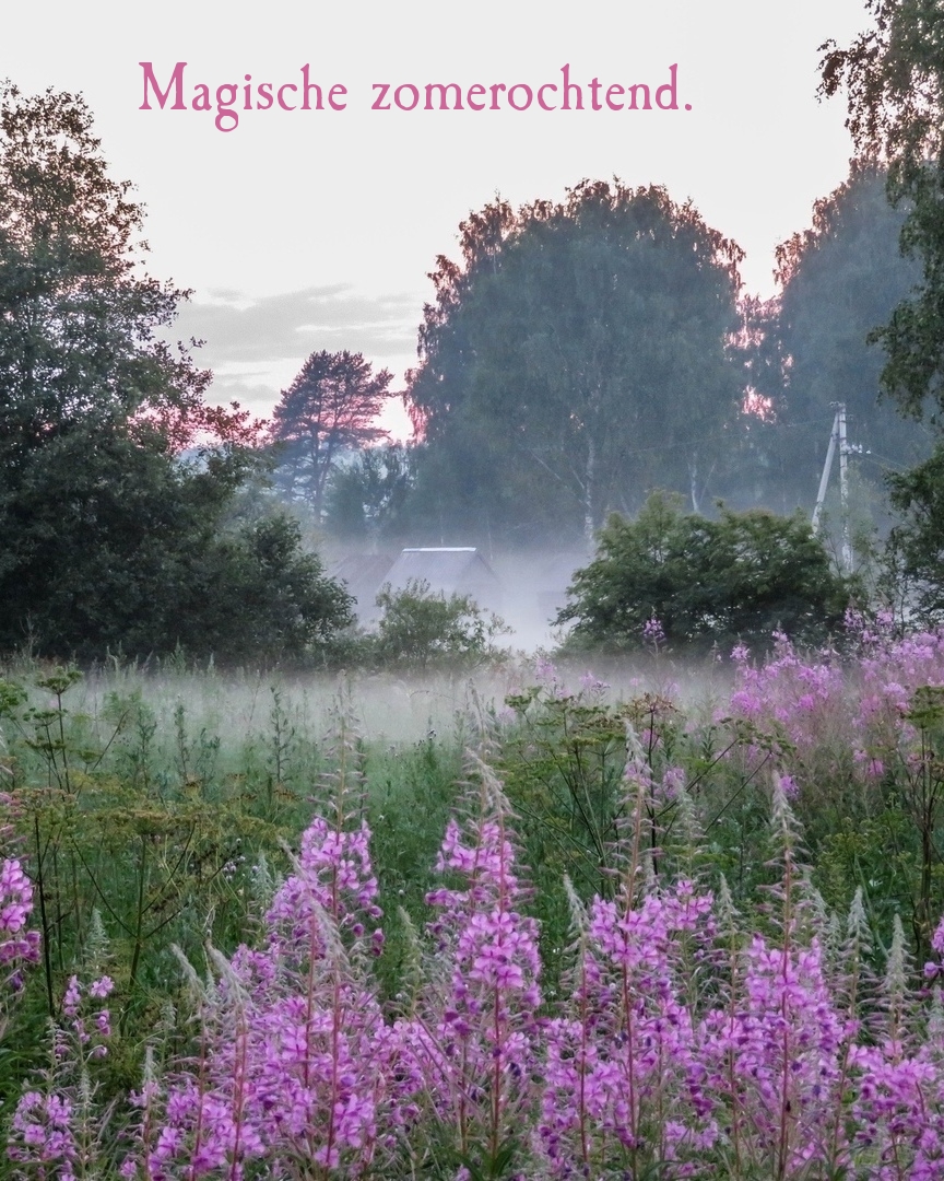 Magische zomerochtend.