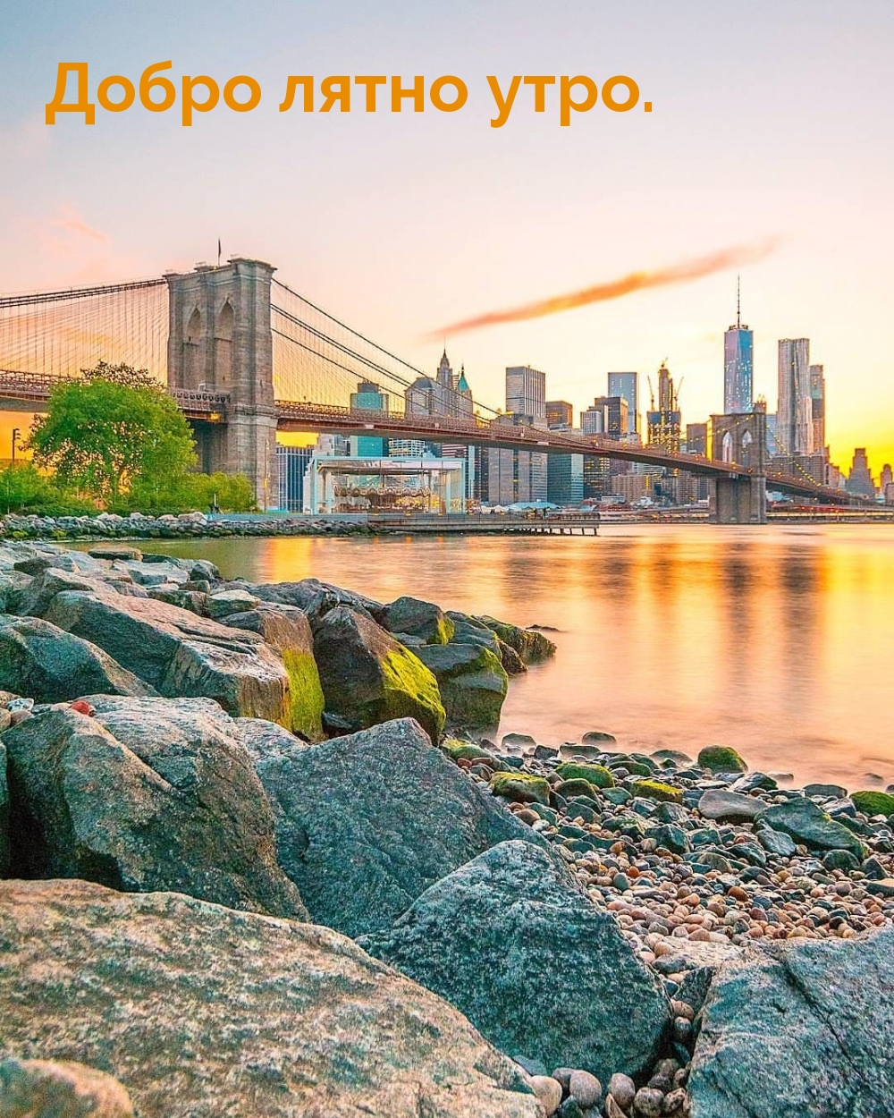 Добро лятно утро.