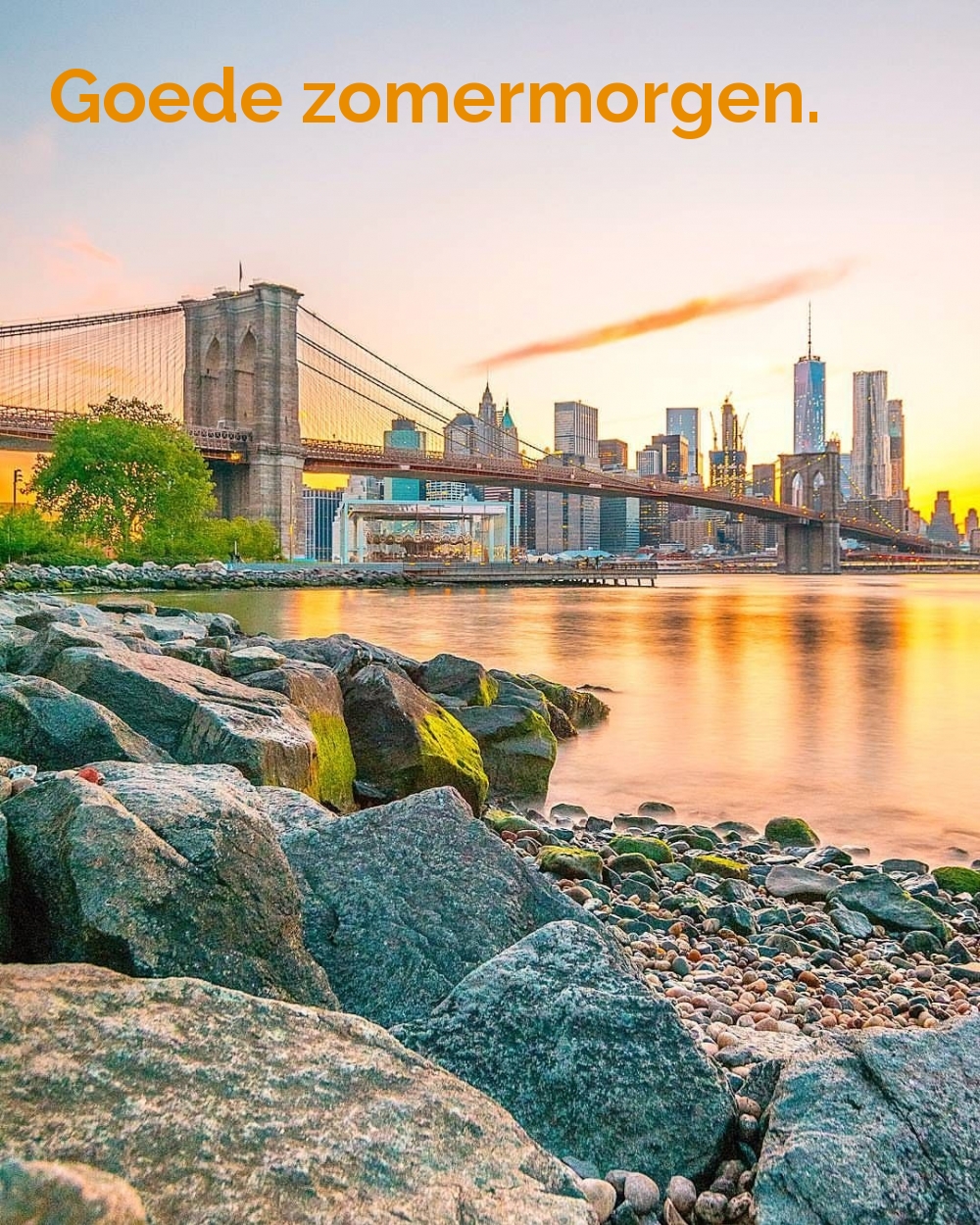 Goede zomermorgen.