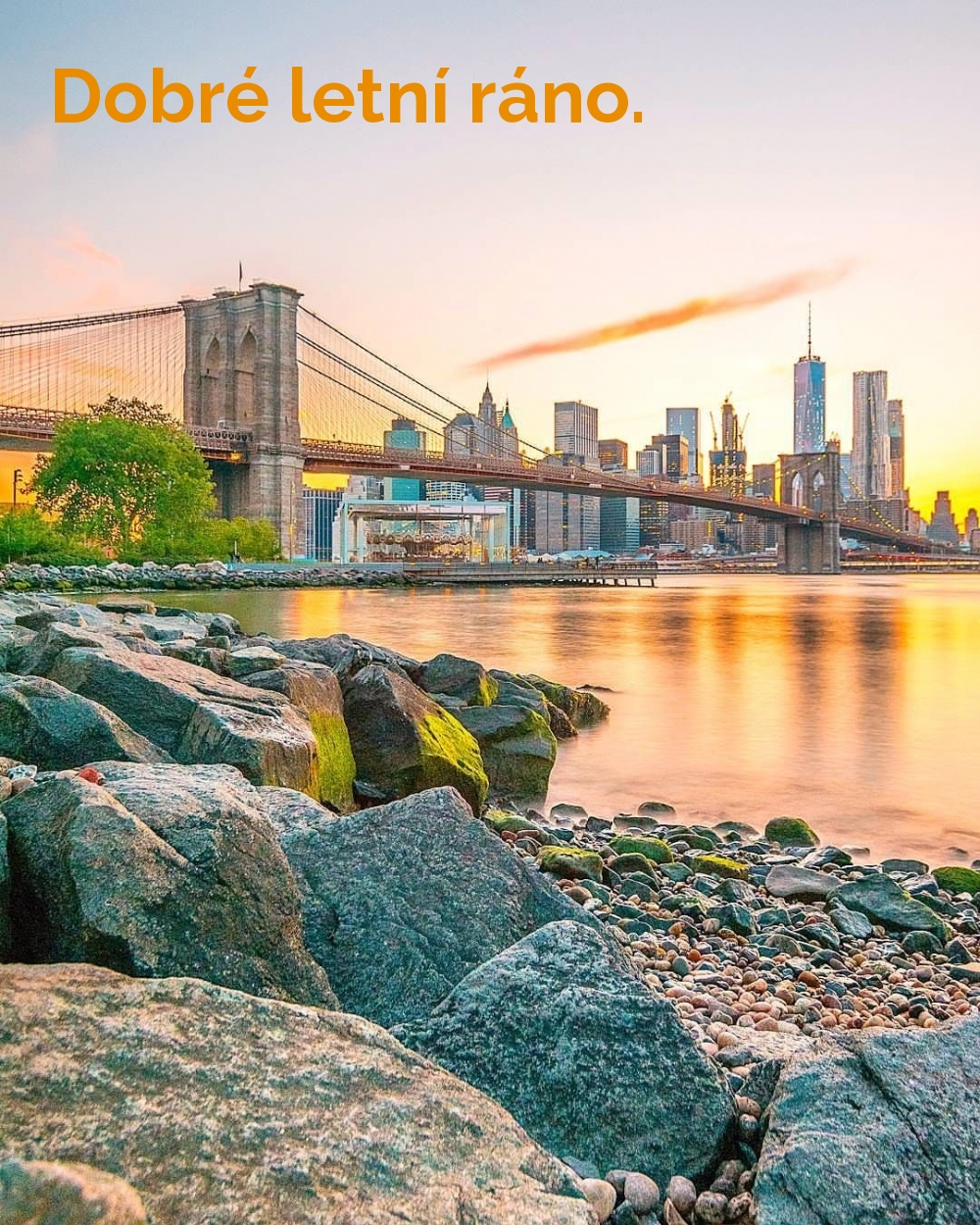 Dobré letní ráno.