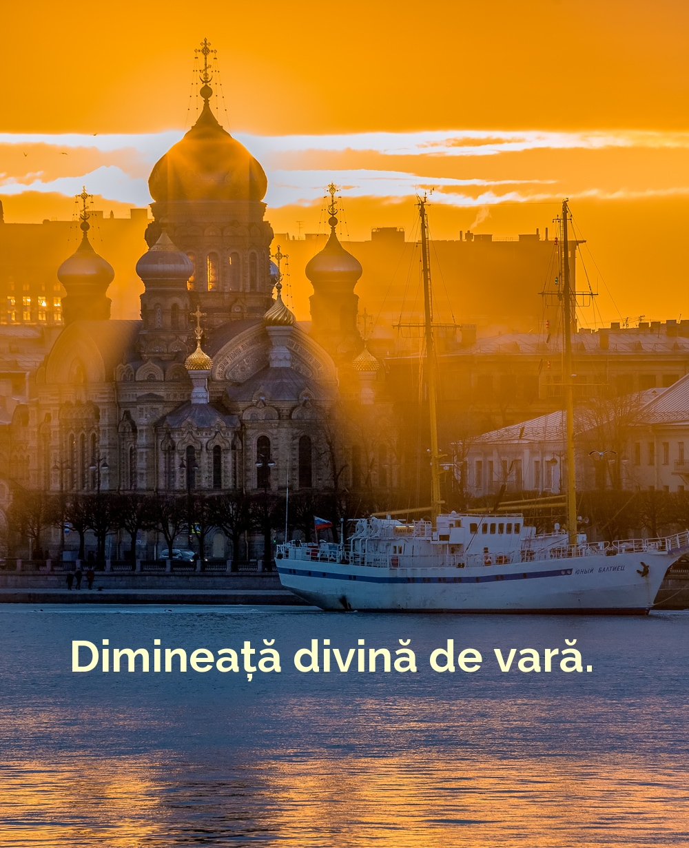 Dimineață divină de vară.