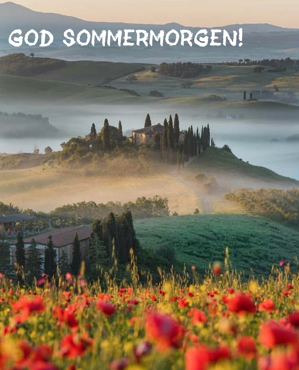 God sommermorgen!