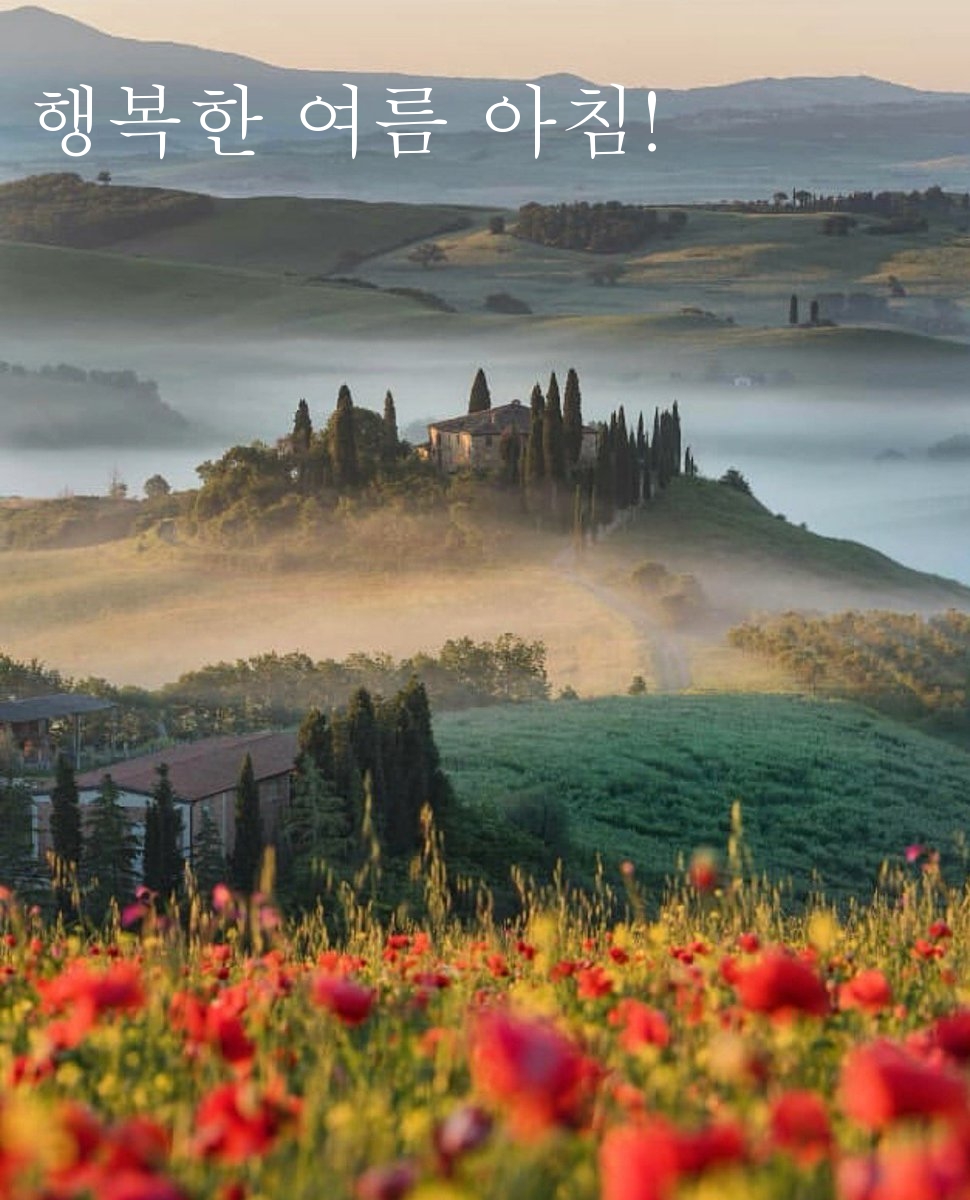 행복한 여름 아침!