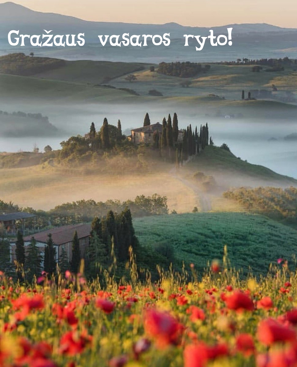 Gražaus vasaros ryto!