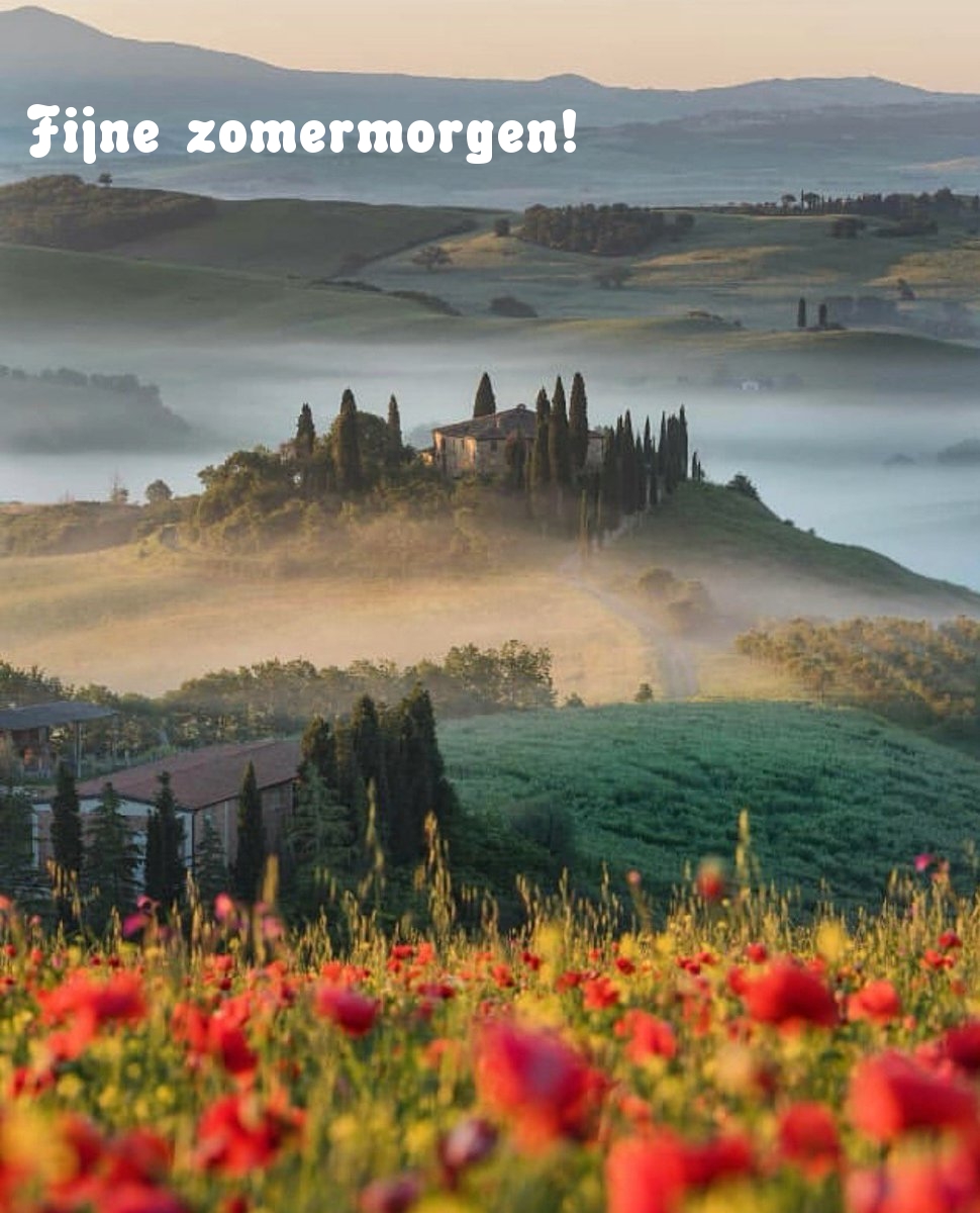 Fijne zomermorgen!