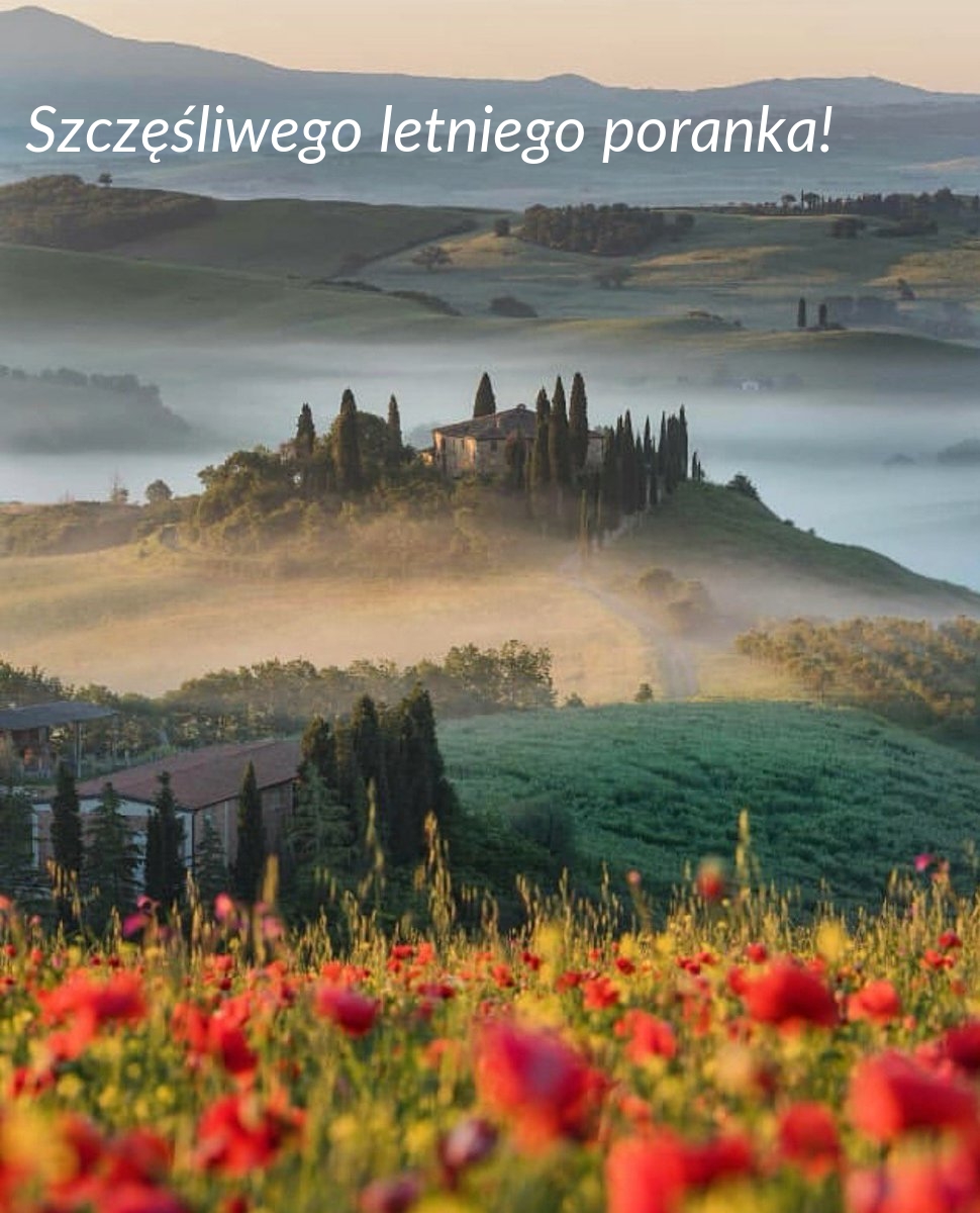 Szczęśliwego letniego poranka!