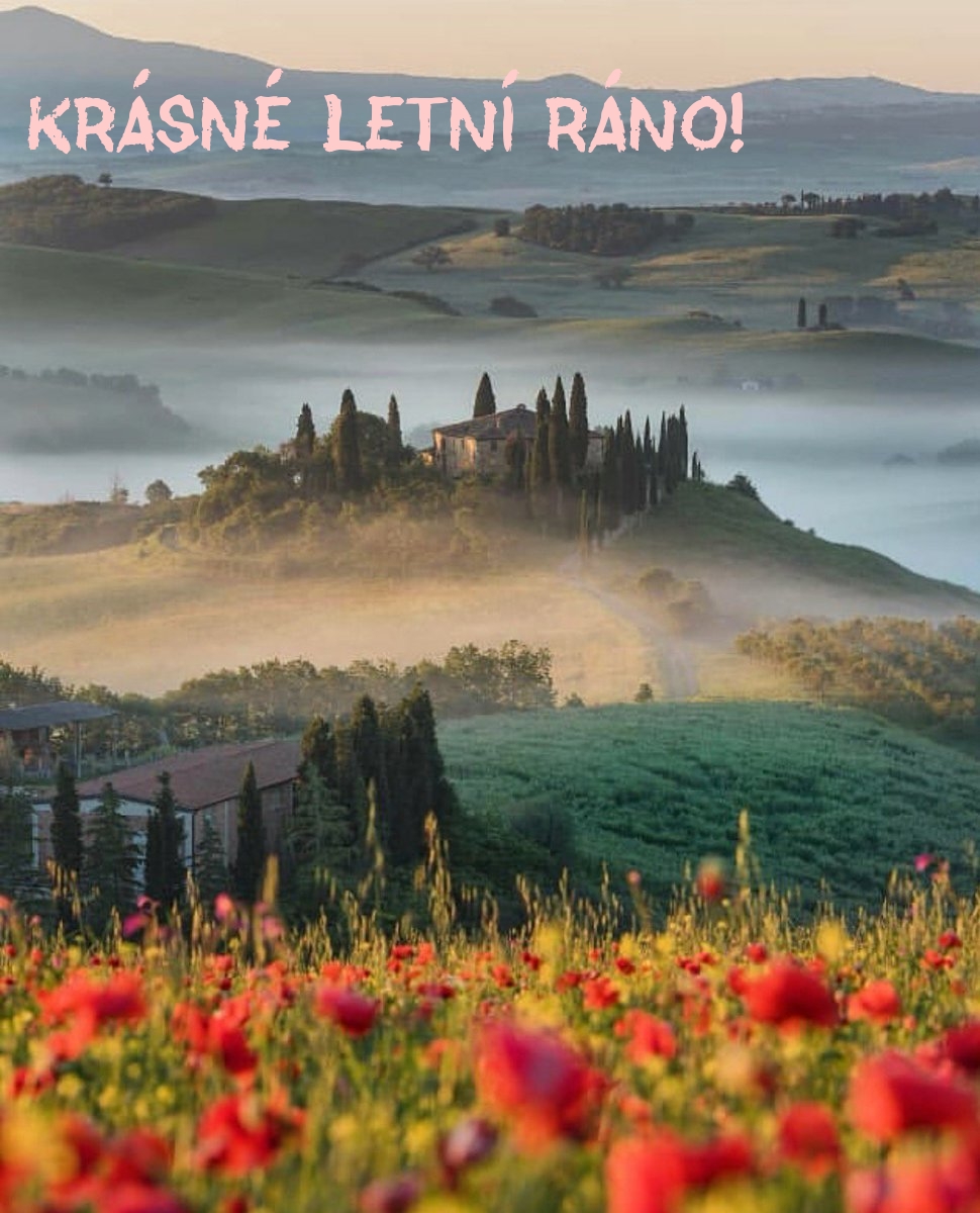 Krásné letní ráno!