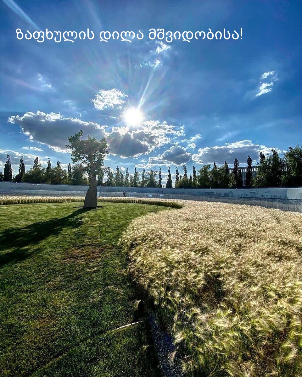 ზაფხულის დილა მშვიდობისა!