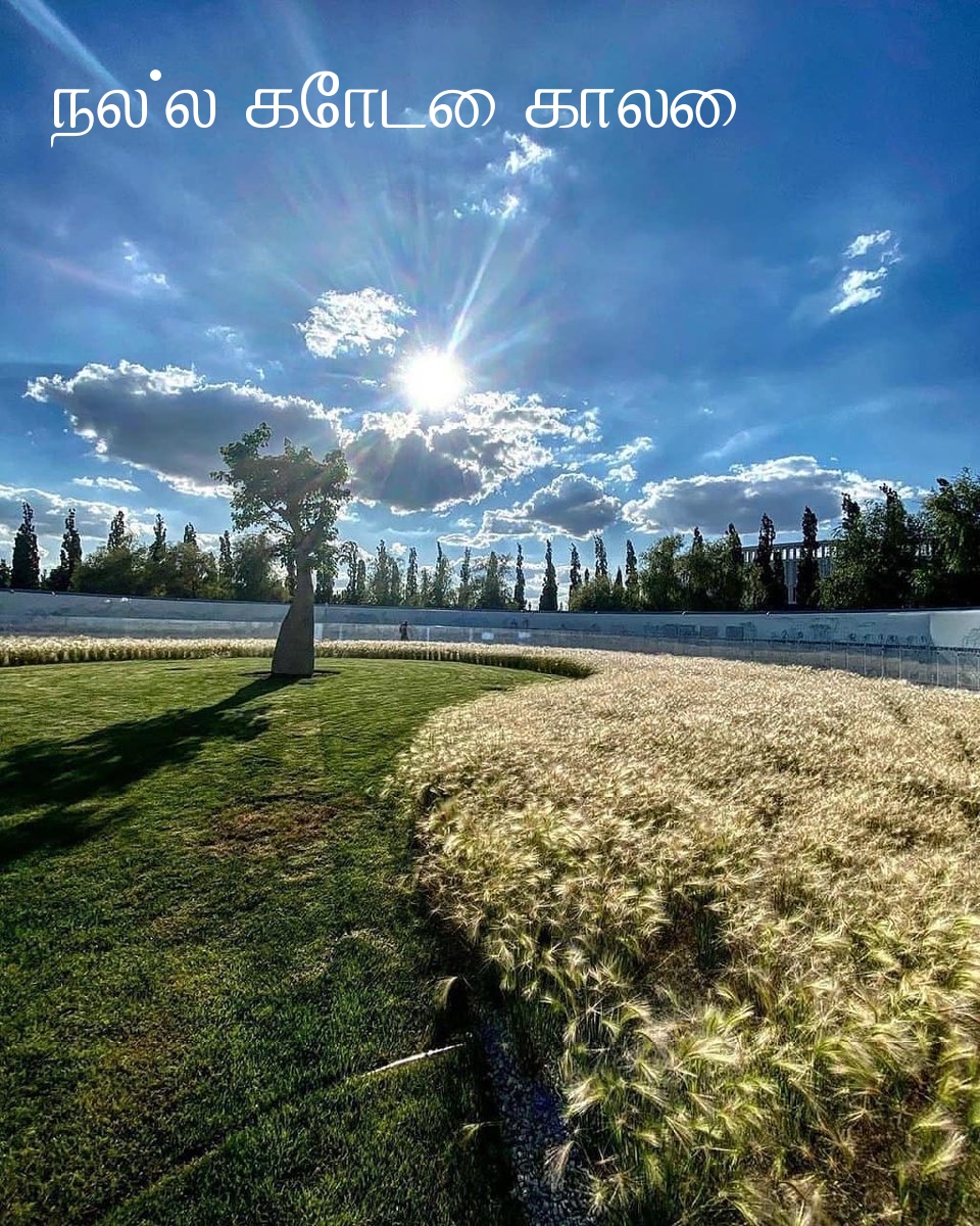 நல்ல கோடை காலை!