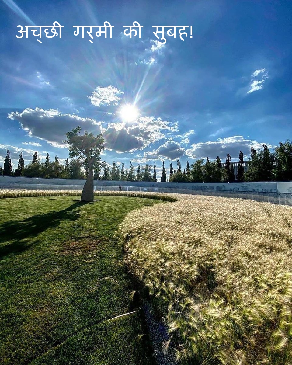 अच्छी गर्मी की सुबह!