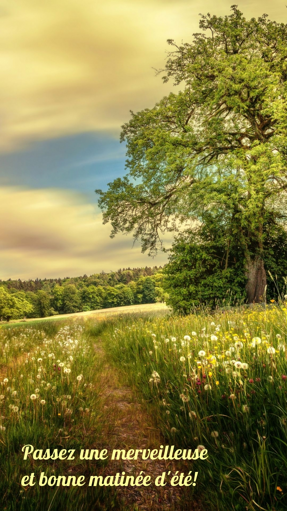 Passez une merveilleuse et bonne matinée d