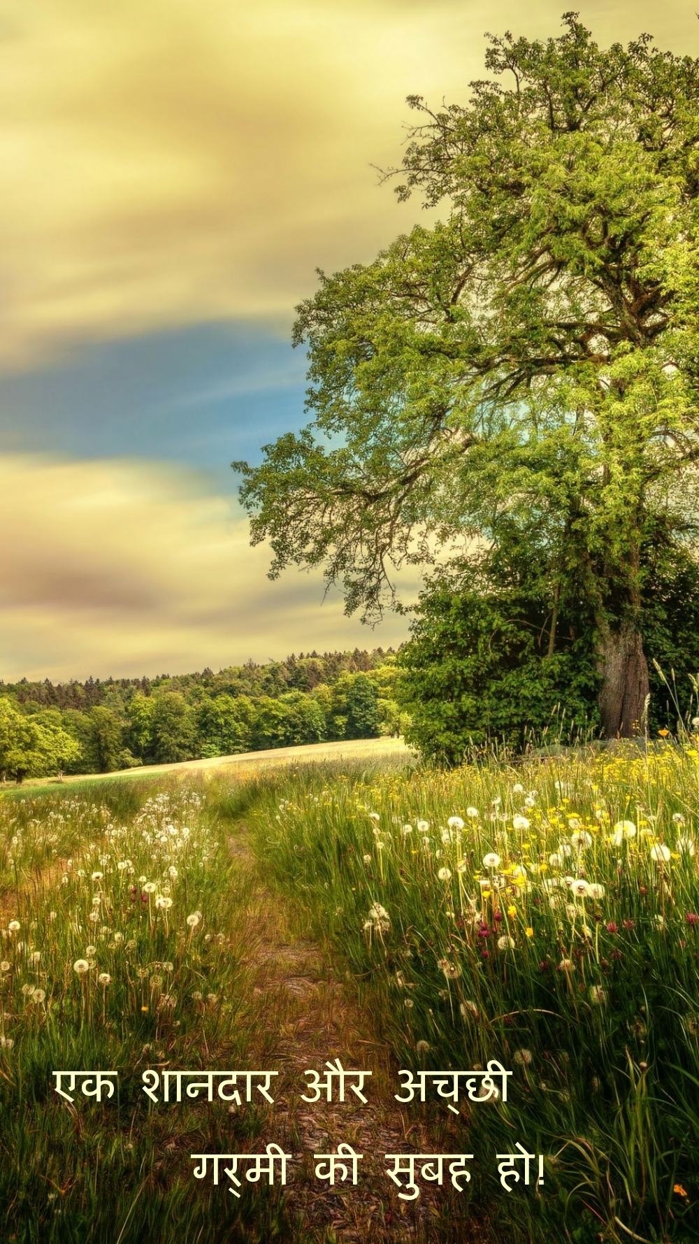 एक शानदार और अच्छी गर्मी की सुबह हो!
