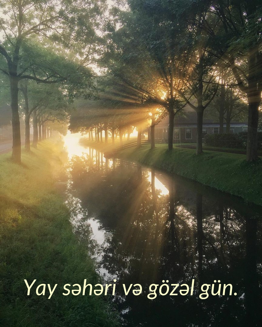 Yay səhəri və gözəl gün.