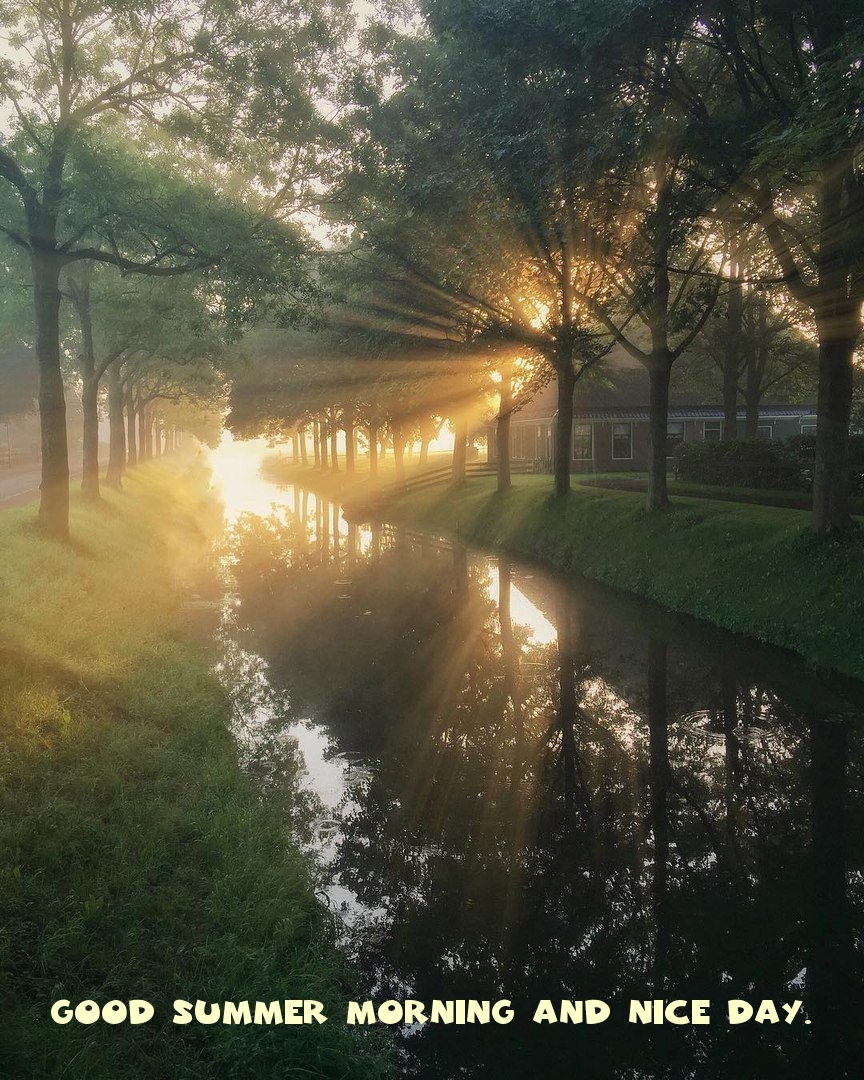 Good summer morning and nice day.