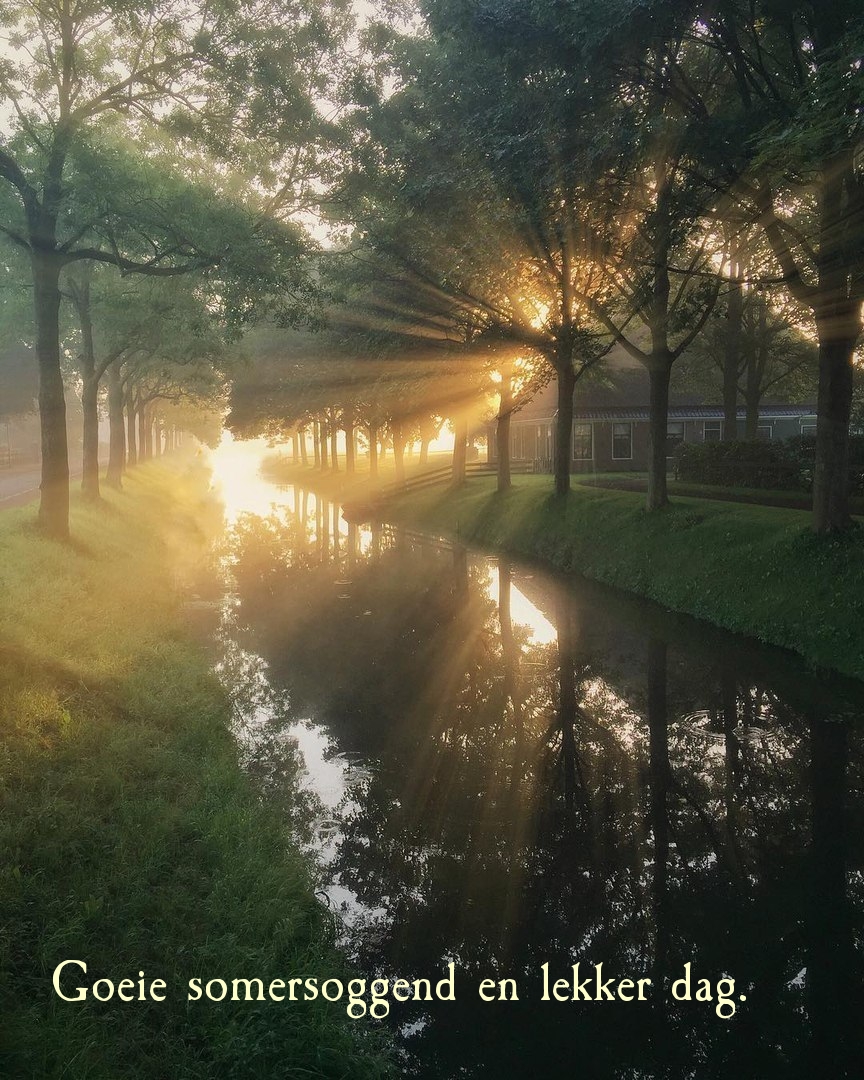 Goeie somersoggend en lekker dag.