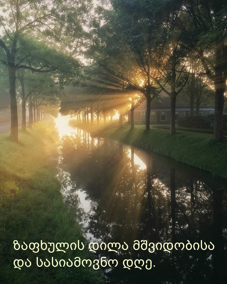 ზაფხულის დილა მშვიდობისა და სასიამოვნო დღე.
