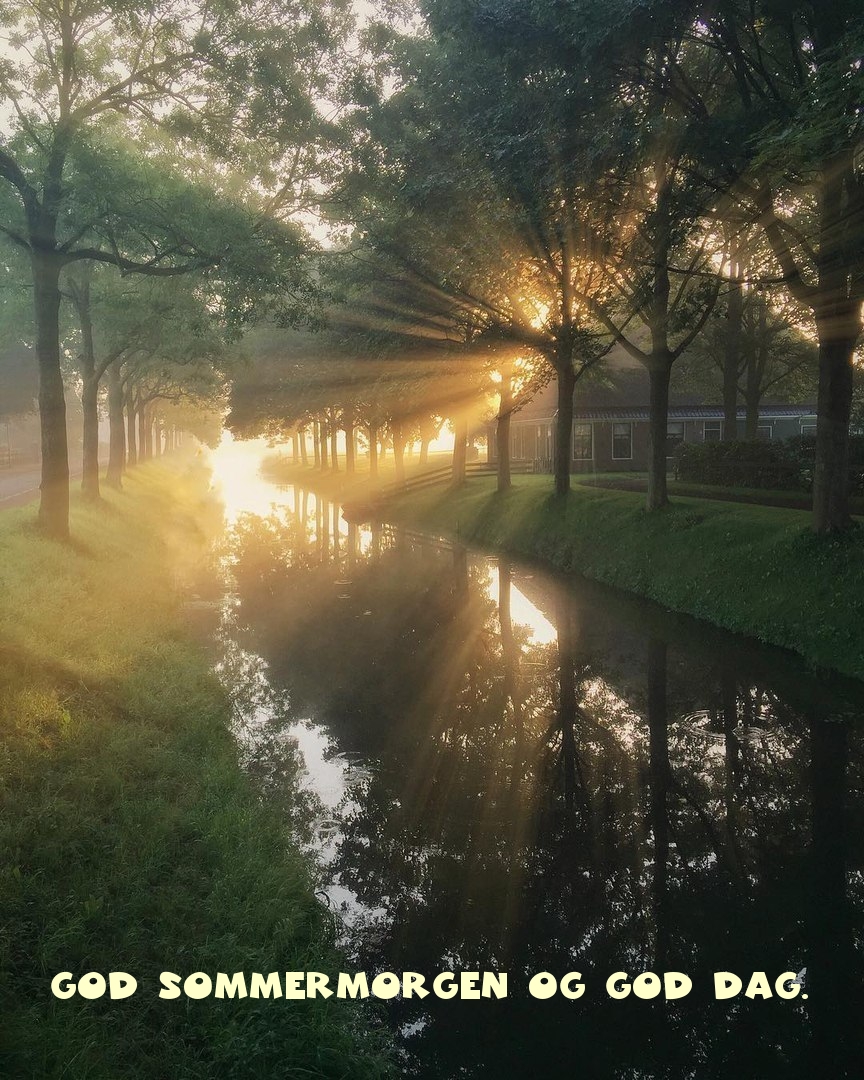 God sommermorgen og god dag.