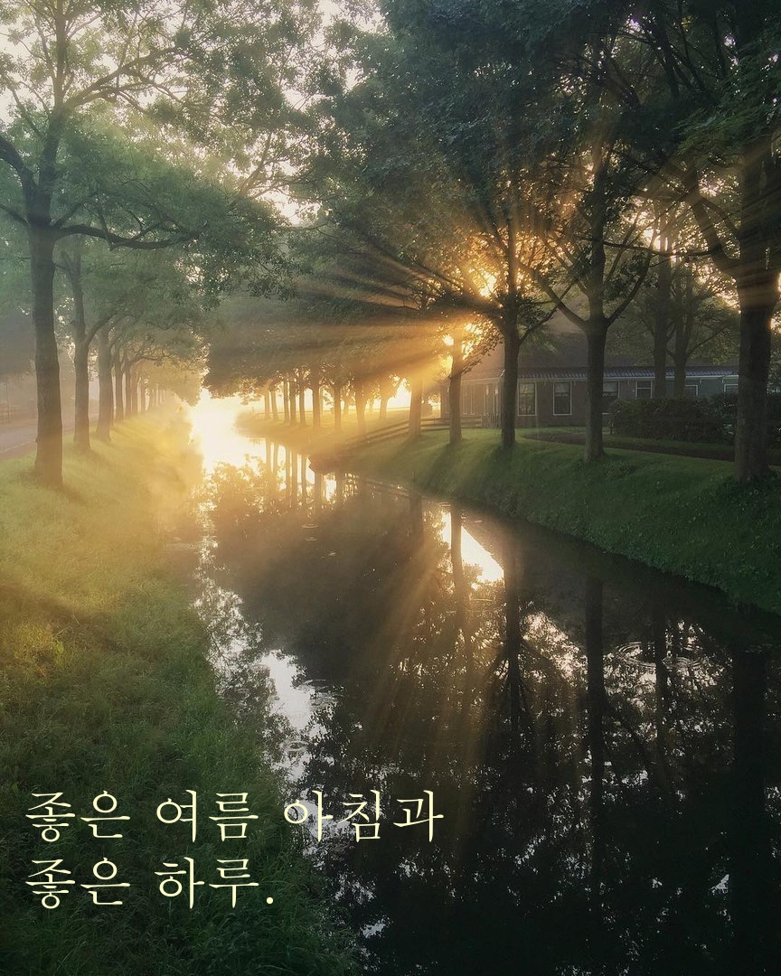 좋은 여름 아침과 좋은 하루.