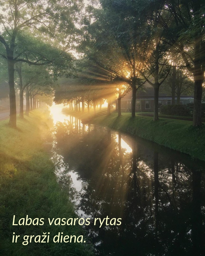 Labas vasaros rytas ir graži diena.