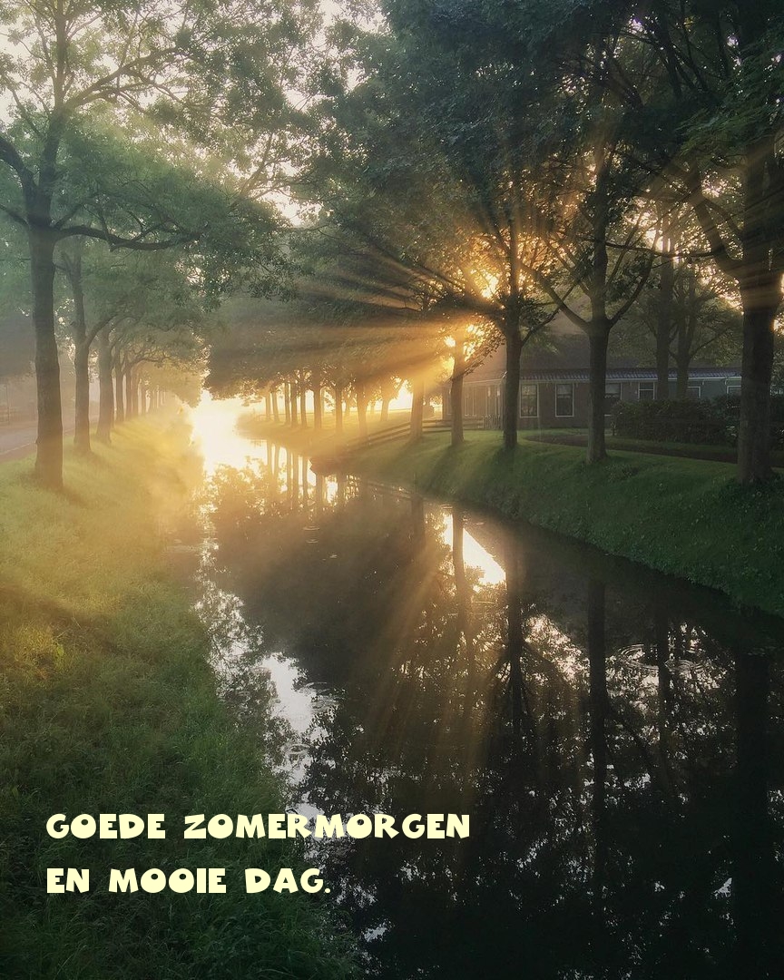 Goede zomermorgen en mooie dag.