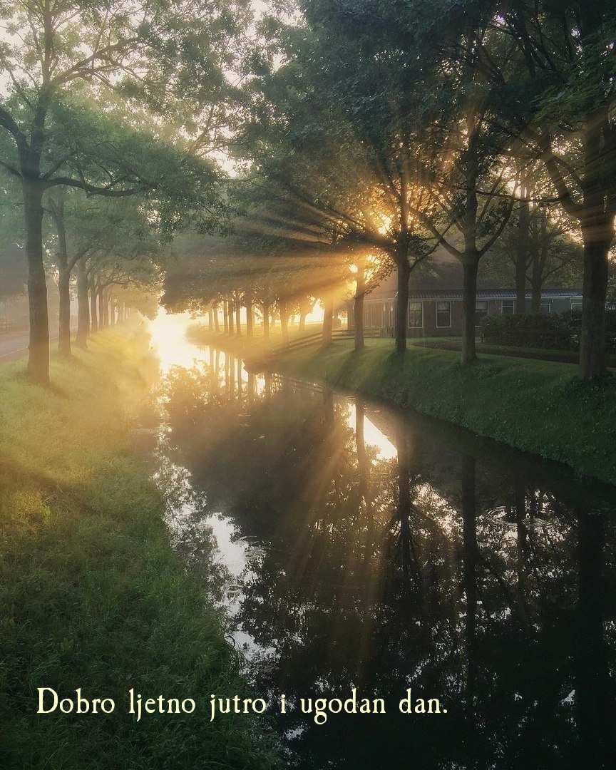 Dobro ljetno jutro i ugodan dan.