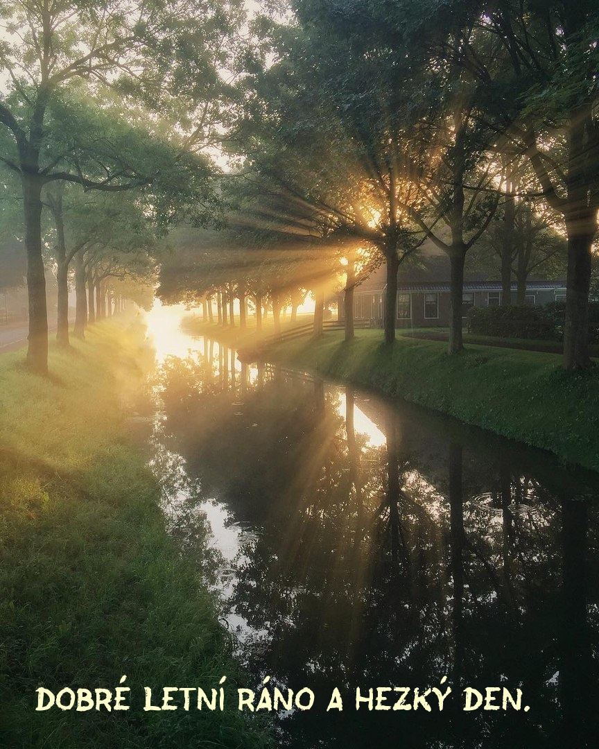 Dobré letní ráno a hezký den.