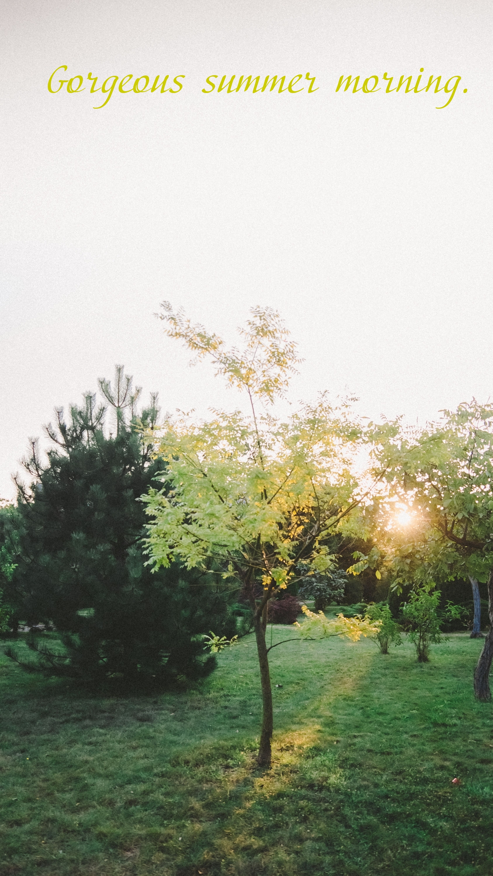 Gorgeous summer morning.