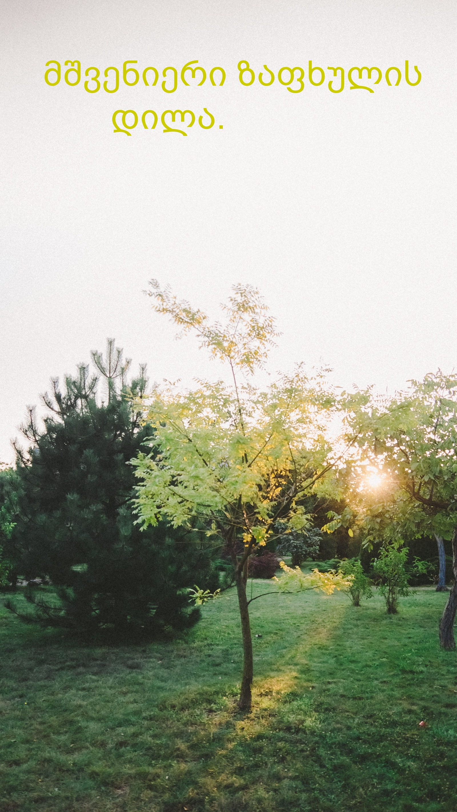 მშვენიერი ზაფხულის დილა.