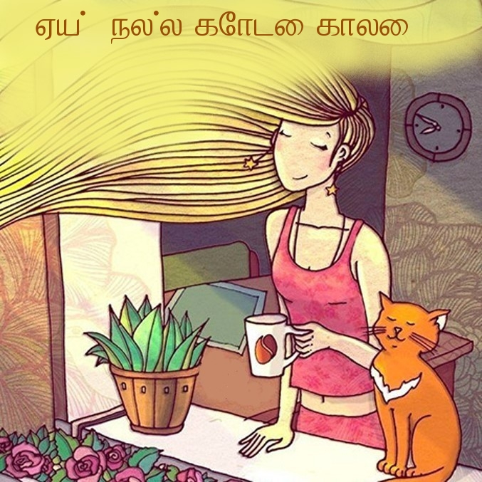 ஏய்! நல்ல கோடை காலை!